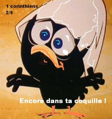 Encore dans ta coquille ? bienvenue