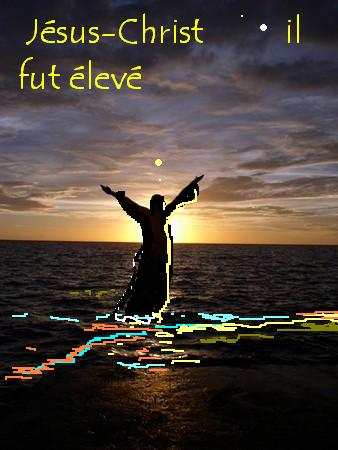 Il fut élevé  bonjour Bienvenue