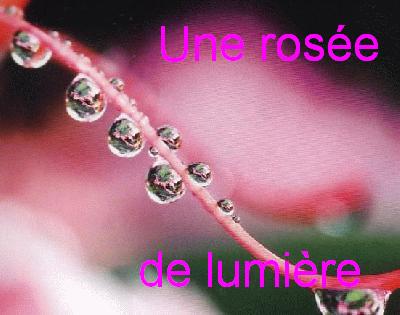 Une rosée de lumière bonjour Bienvenue 