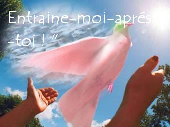 Entraine-moi -aprés-toi bonjour bienvenue