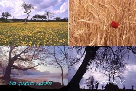 Les quatres saisons : Bienvenue 