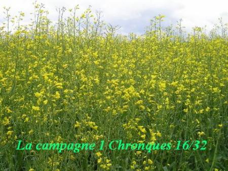La campagne bonjour